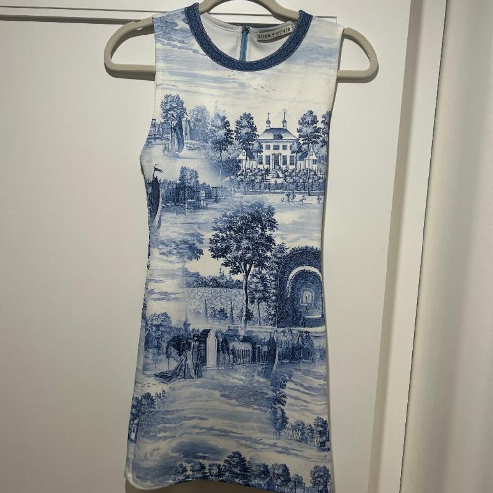 Alice and olivia dress